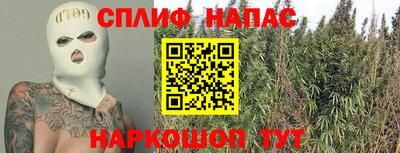 трава Сланцы