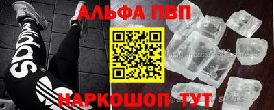трава Сланцы