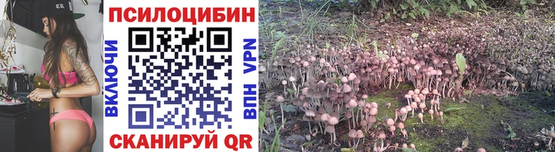 Псилоцибиновые грибы Magic Shrooms  MEGA ONION  Старая Русса  где продают  